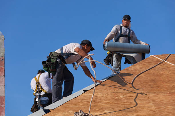 Best Metal Roofing Contractor  in Plymouth, IN